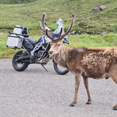 Hert en motor